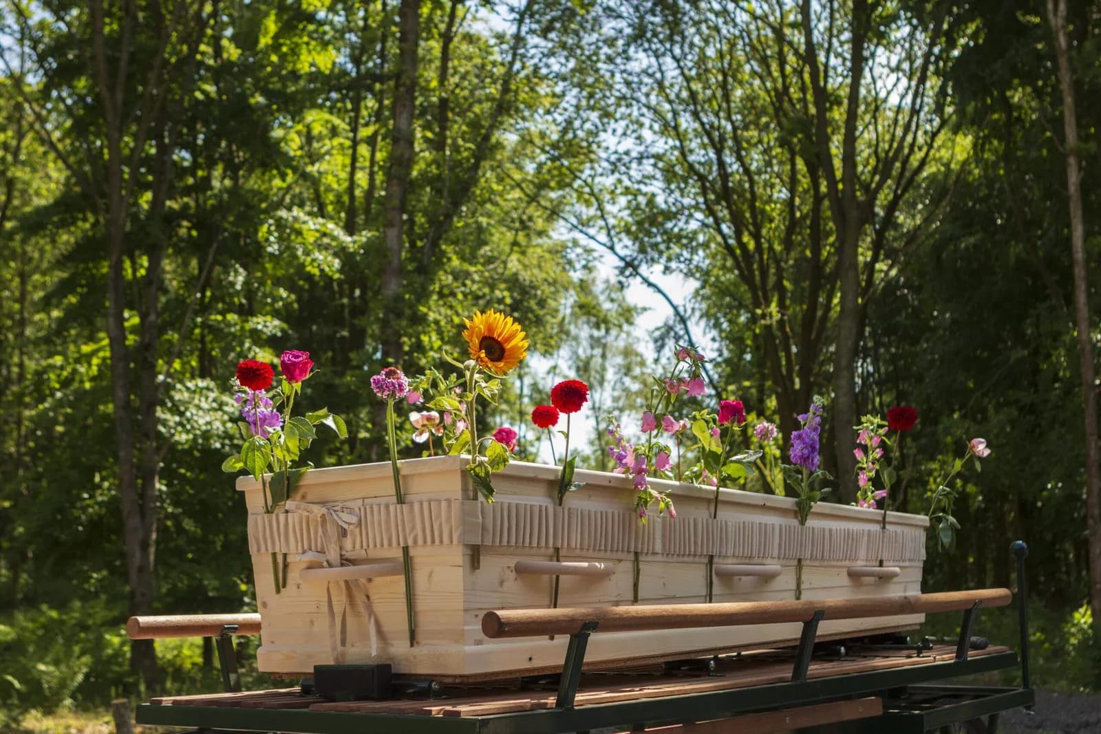 Uitvaartkist met veldbloemen en een bloemenband