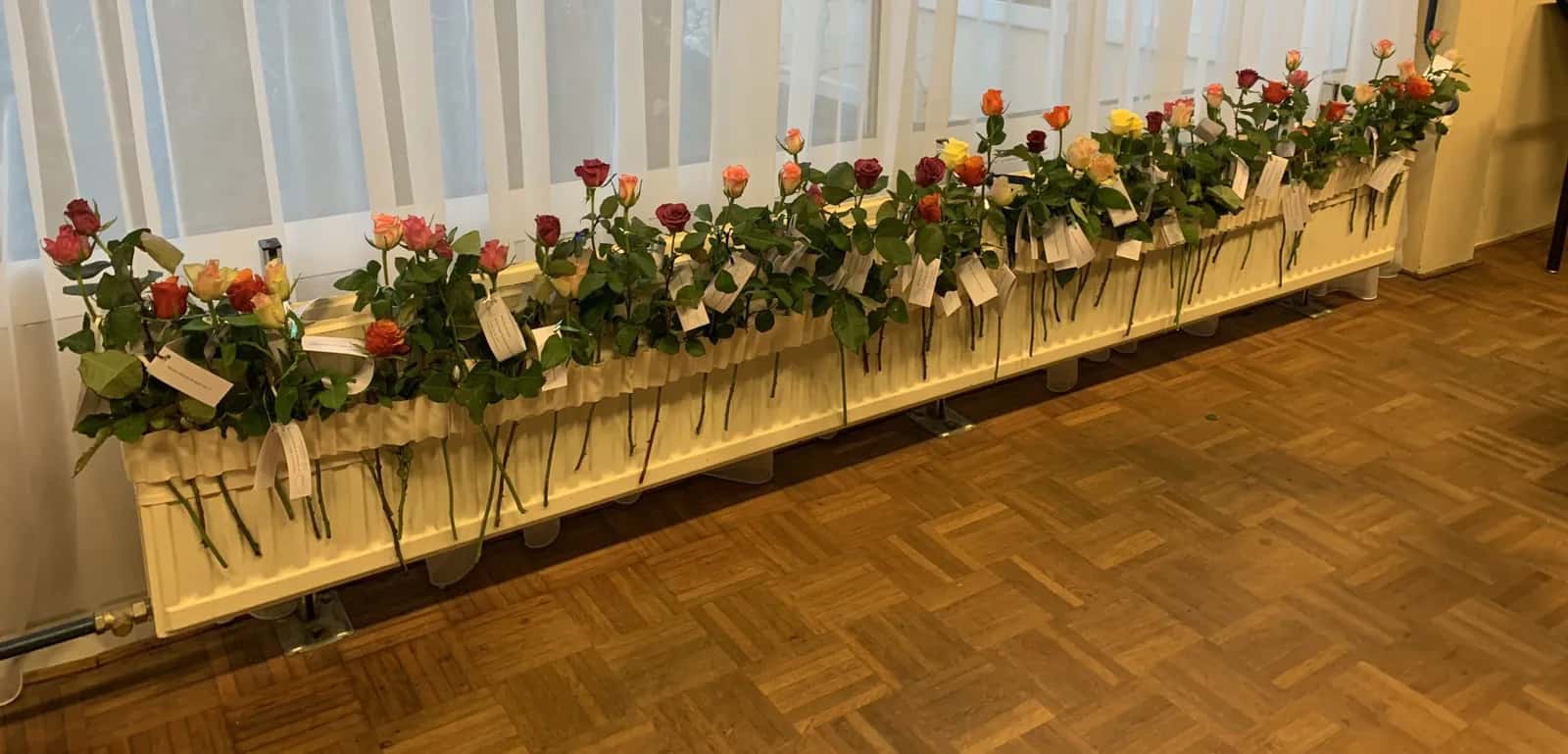 Foto bij ‘Vertellen over ons mooie vak’