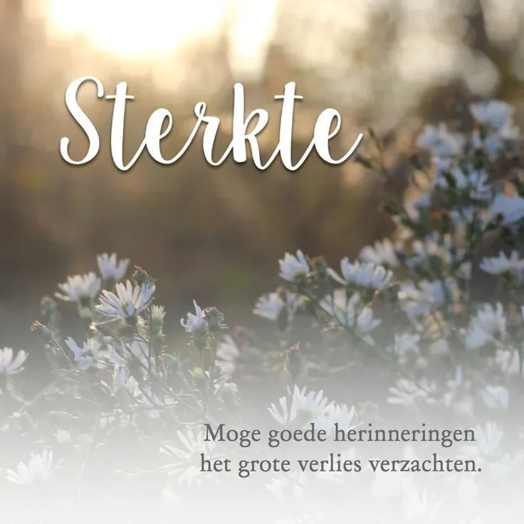 Foto meegestuurd door Monique de Heer